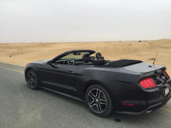  Black Ford Mustang Convertible Photo 6