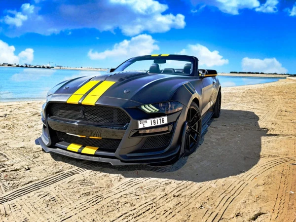  Black Ford Mustang Photo 3
