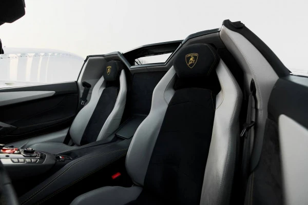  Black Lamborghini Aventador Roadster Photo 5