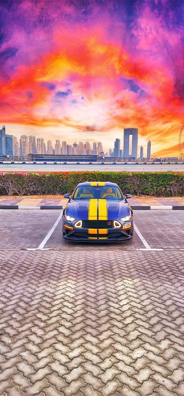  Dark Blue Ford Mustang Photo 3