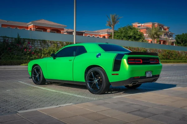  Green Dodge Challenger Photo 5