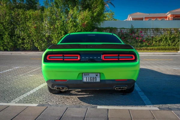  Green Dodge Challenger Photo 9