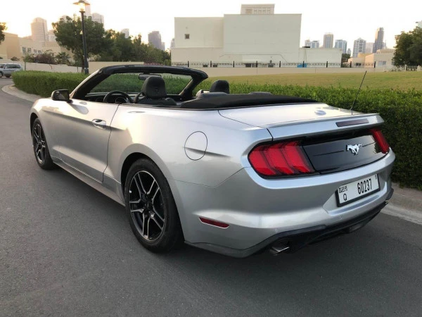  Grey Ford Mustang Photo 2
