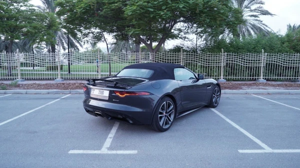  Grey Jaguar F-Type Photo 5