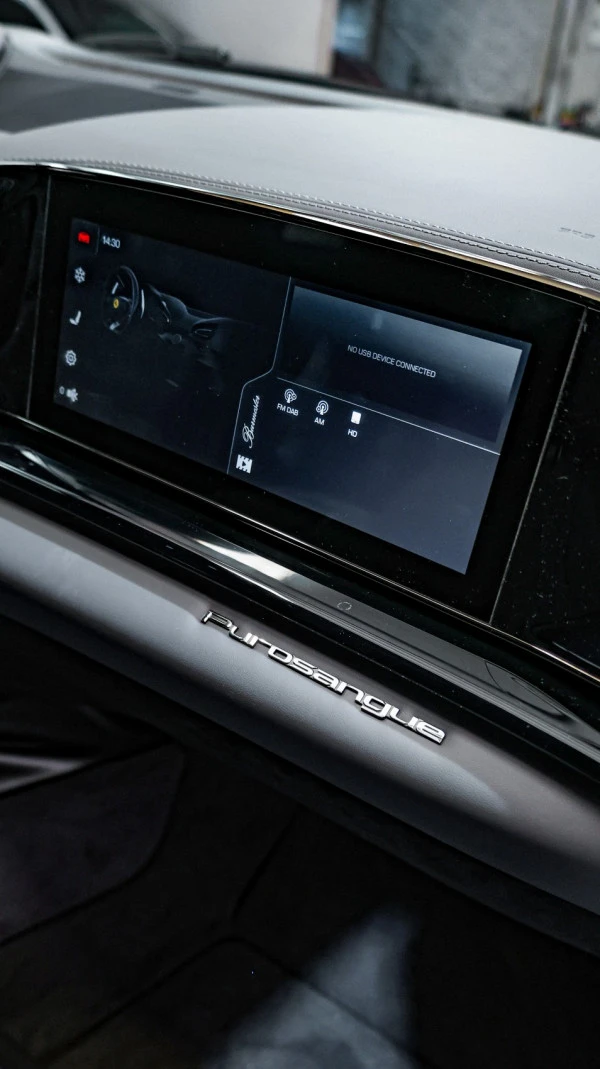  Red Ferrari Purosangue Photo 10