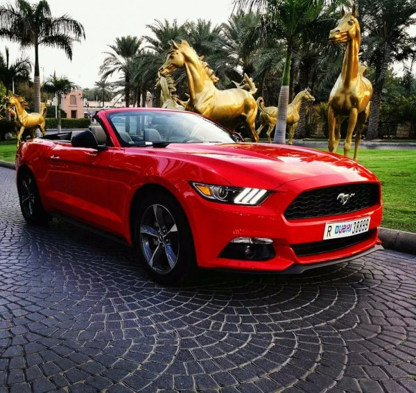  Red Ford Mustang Convertible Photo 4