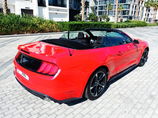 Red Ford Mustang Photo 4