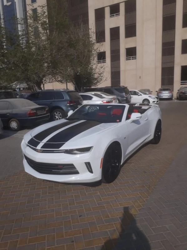  White Chevrolet Camaro Photo 12