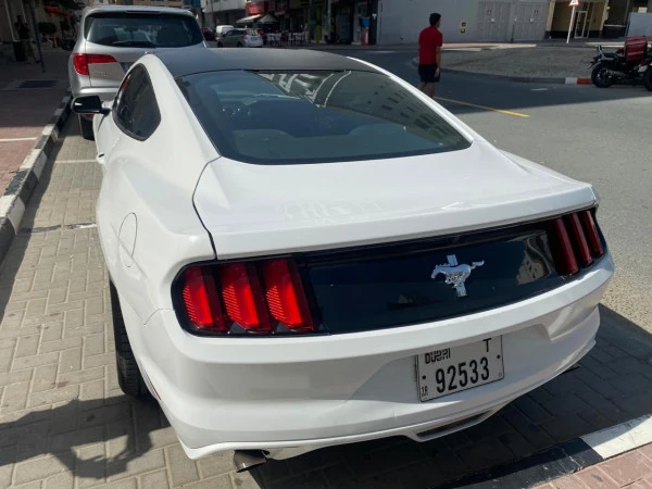  White Ford Mustang Coupe Photo 2