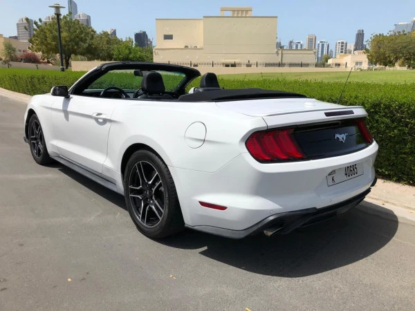 White Ford Mustang Photo 2