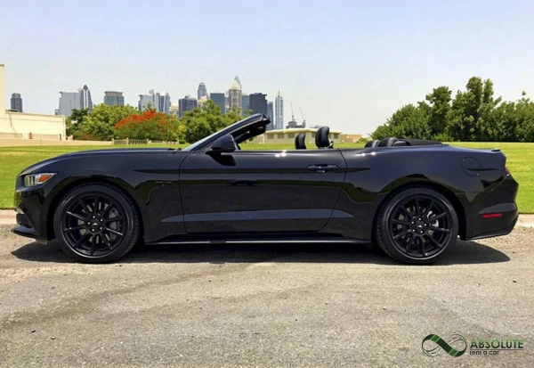 Black Ford Mustang Photo 2