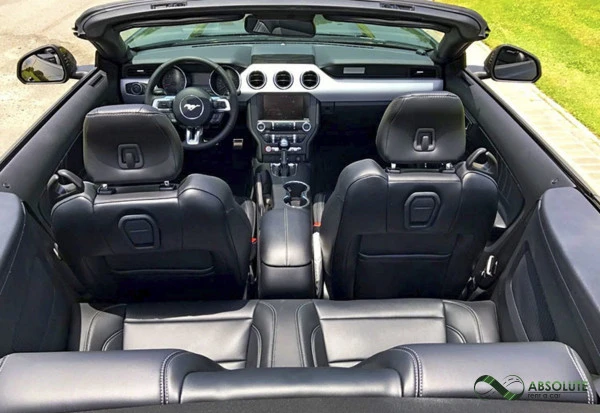  Black Ford Mustang Photo 3