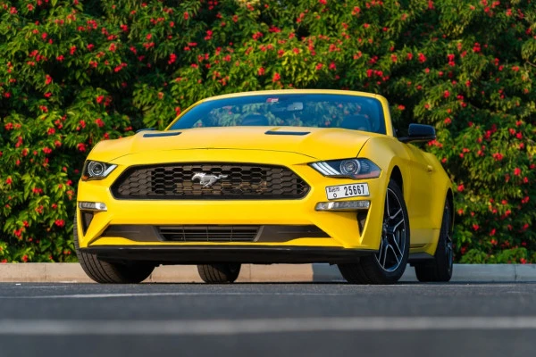  Yellow Ford Mustang cabrio Photo 4