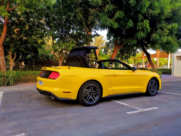  Yellow Ford Mustang cabrio Photo 2